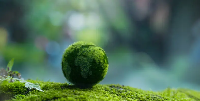 Image of the earth covered with greenery. 