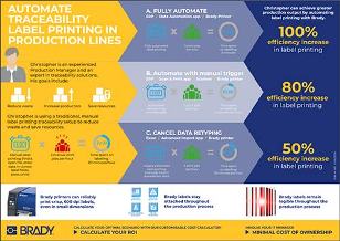 Infographic IP EN preview